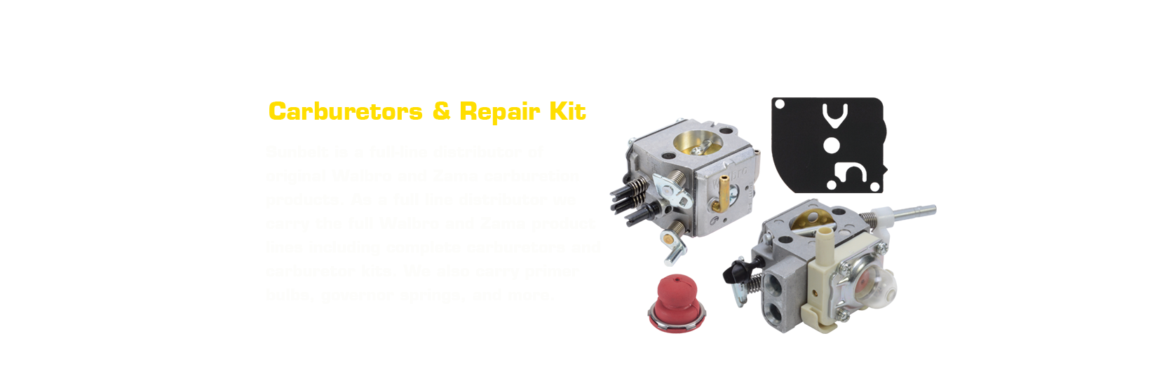 Shop Carburetors